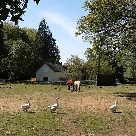 En Lisiere De Foret Avec Etang *