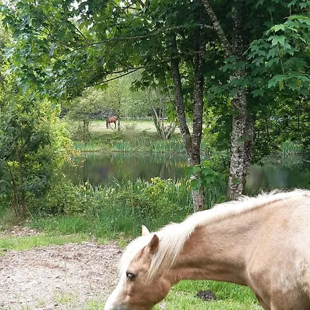 En Lisiere De Foret Avec Etang * Scaer
